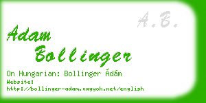 adam bollinger business card