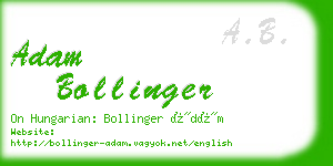 adam bollinger business card